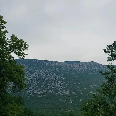 Lisko Villa